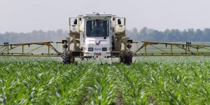 Cancer : désaccord sur la nocivité de l'herbicide Roundup