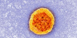 Un nouveau test de détection du virus de l'hépatite C