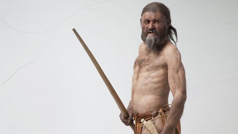 Qu'y avait-il dans l'estomac d'Ötzi ?