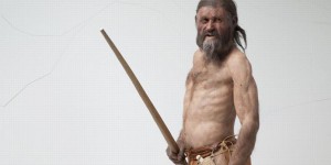 Qu'y avait-il dans l'estomac d'Ötzi ?