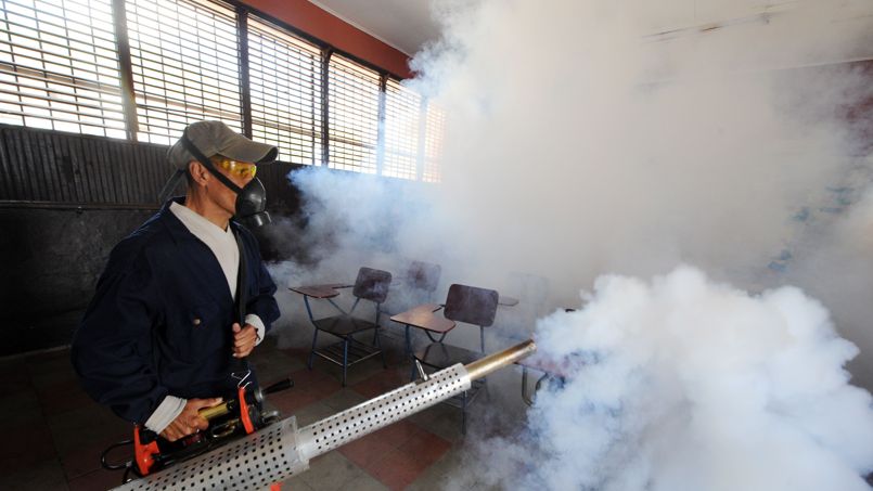 L'OMS sonne l'alarme contre le virus Zika