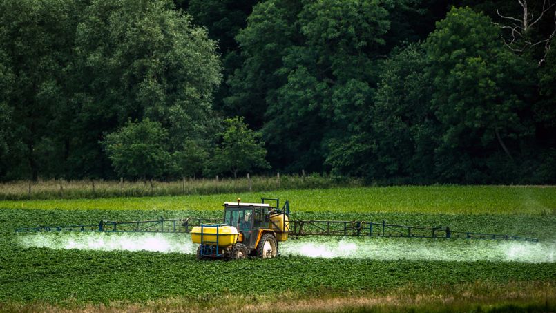 Des pesticides retrouvés dans des maisons proches de cultures