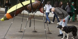 Zika: comment les athlètes olympiques français seront protégés