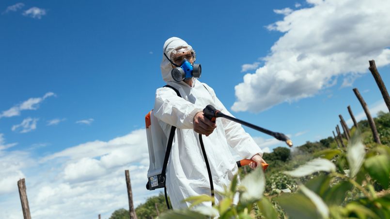 Polluants chimiques : les chercheurs s'inquiètent de leur utilisation massive