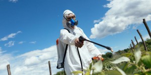 Polluants chimiques : les chercheurs s'inquiètent de leur utilisation massive