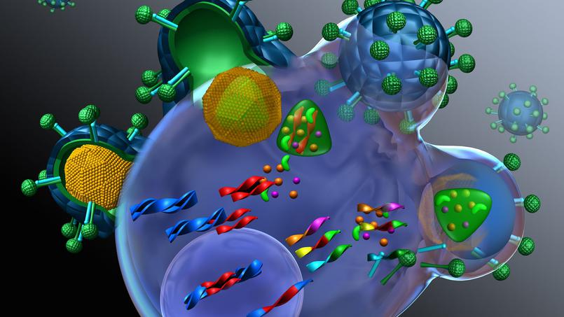 Les armes du HIV disséquées atome par atome
