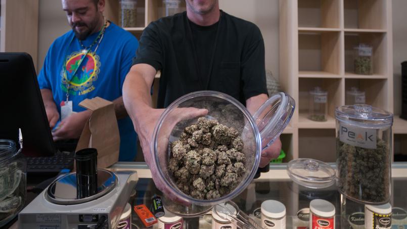 Légalisation du cannabis: le débat doit s’appuyer sur des données scientifiques 