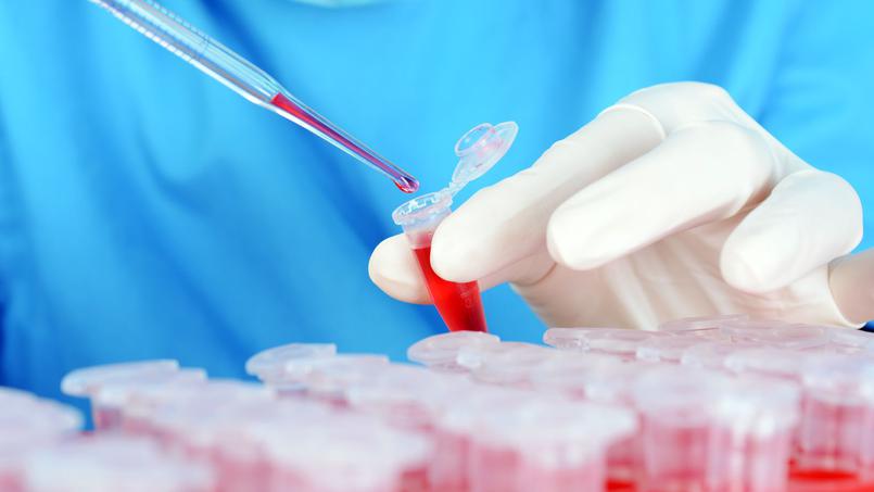Un test sanguin qui traque l’appétit de nos cellules