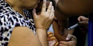 Après Zika, la fièvre jaune menace le Brésil