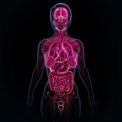 «Les perturbateurs endocriniens ciblent notre système hormonal»