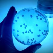 Les bactéries résistantes aux antibiotiques ont entraîné 33.000 décès en 2015 en Europe