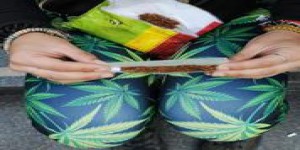 Cannabis: une teneur élevée en THC augmenterait le risque de troubles mentaux