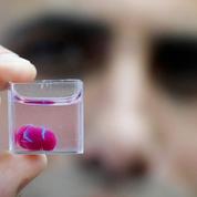 Des scientifiques ont fabriqué un mini-cœur avec une imprimante 3D