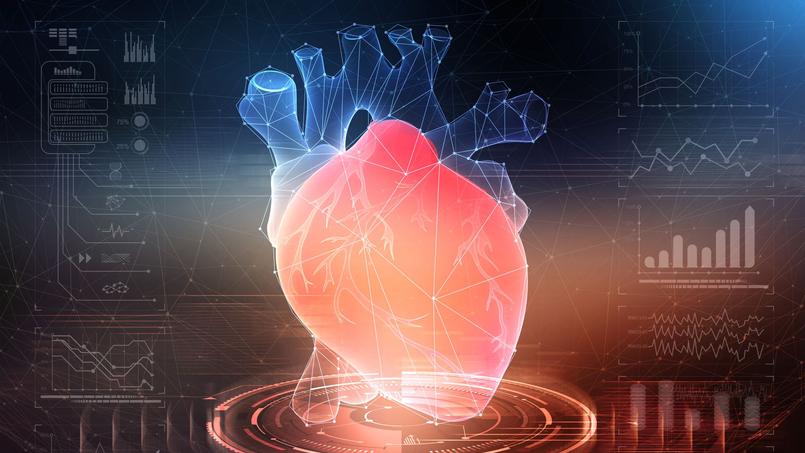 Les espoirs de la thérapie cellulaire pour régénérer le cœur