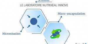 Nutrixeal innove pour exploiter le potentiel nutraceutique de la quercétine
