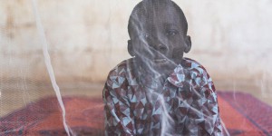 Des moustiquaires nouvelle génération s’avèrent bien plus efficaces contre le paludisme
