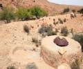 Sous le Sahara : une nappe d'eau grande comme deux fois la France