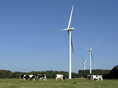 L'énergie éolienne ou l'énergie issue du vent