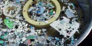 Un gigantesque 'continent' de déchets se forme dans le Pacifique Nord