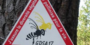 2014 : une année noire pour les abeilles et l'apiculture française