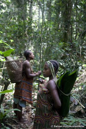 Conflit entre la conservation de la nature et la survie des populations autochtones : le WWF accusé de violations des droits de l'Homme