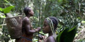 Conflit entre la conservation de la nature et la survie des populations autochtones : le WWF accusé de violations des droits de l'Homme