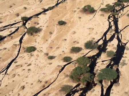 Rupture d'un oléoduc en Israël : le plus grand désastre écologique du pays