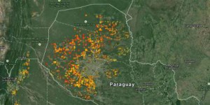 Paraguay : l'un des derniers espaces de forêts vierges de la planète dévoré par l'expansion agricole