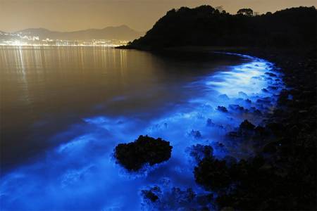 D'où vient cette étrange lumière bleue qui scintille la nuit dans les eaux de la baie de Hong-Kong ?