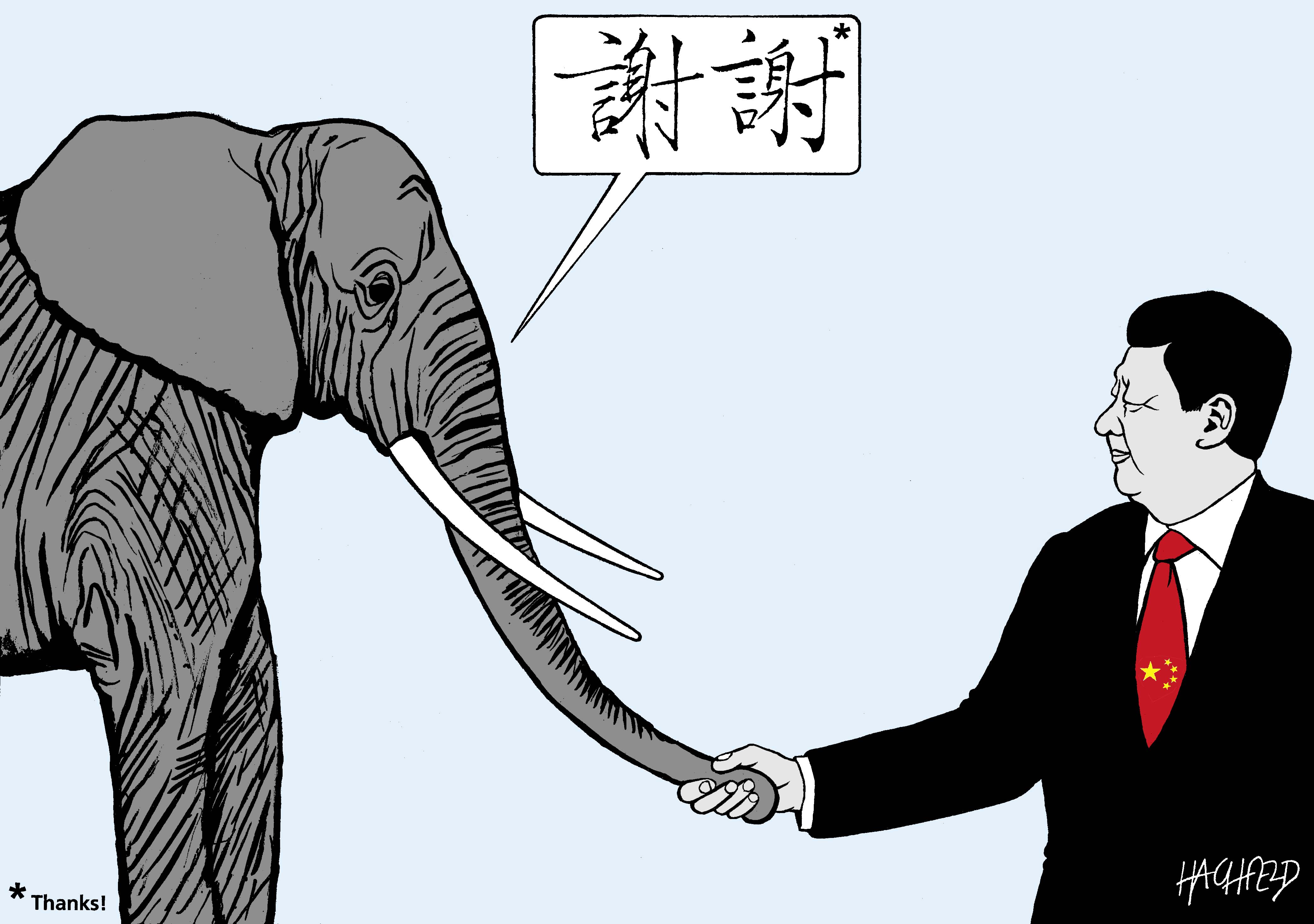 Environnement. Les éléphants prêts à se réconcilier avec la Chine ?