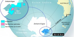 Environnement. Le plus grand sanctuaire marin va voir le jour en Antarctique