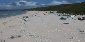 Environnement. Une île déserte du Pacifique ensevelie sous les plastiques