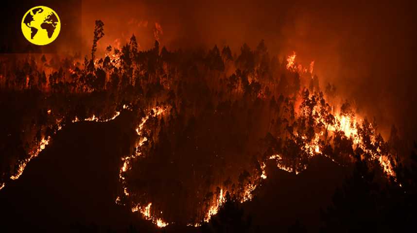 Incendie au Portugal. “Depuis cinquante ans, toutes les mises en garde tombent dans l’oreille d’un sourd”