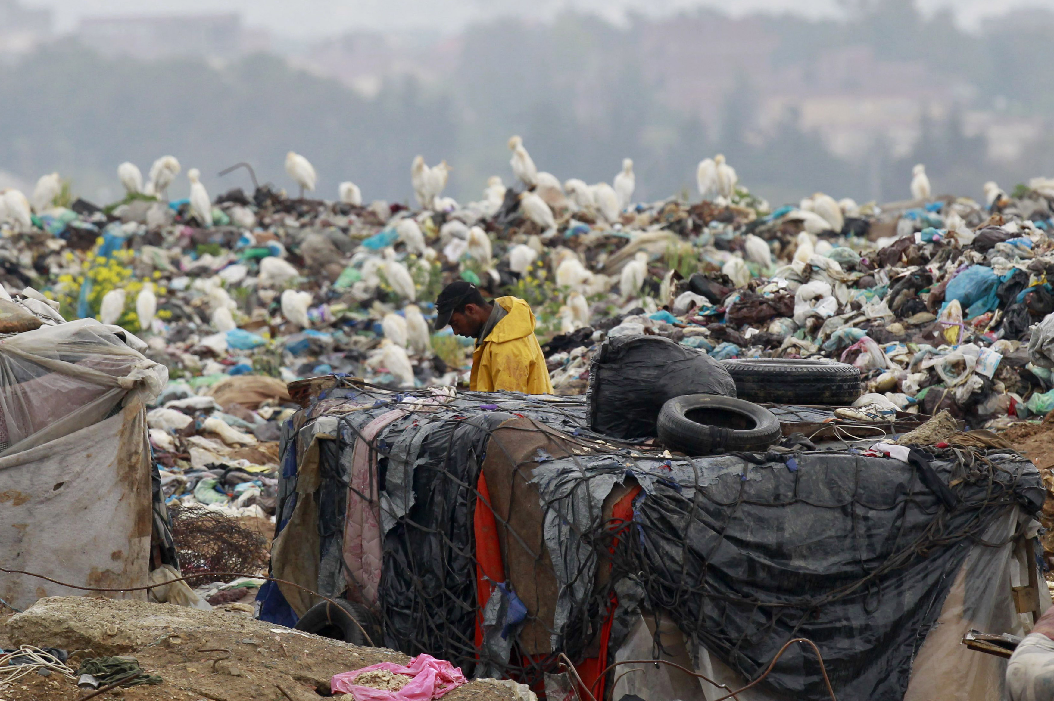 Le recyclage des déchets, un marché prometteur en Algérie