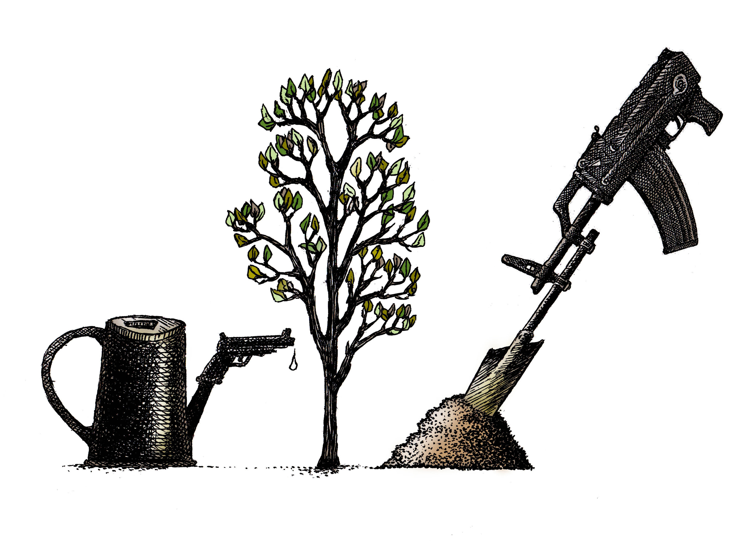 Les arbres, victimes collatérales des conflits