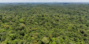 L’Amérique latine s’engage à protéger les militants pour l’environnement