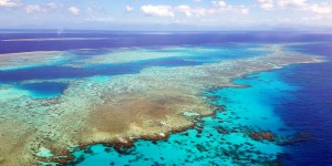 Bouclier invisible, nuages éclaircis : comment l’Australie veut sauver la Grande Barrière de corail
