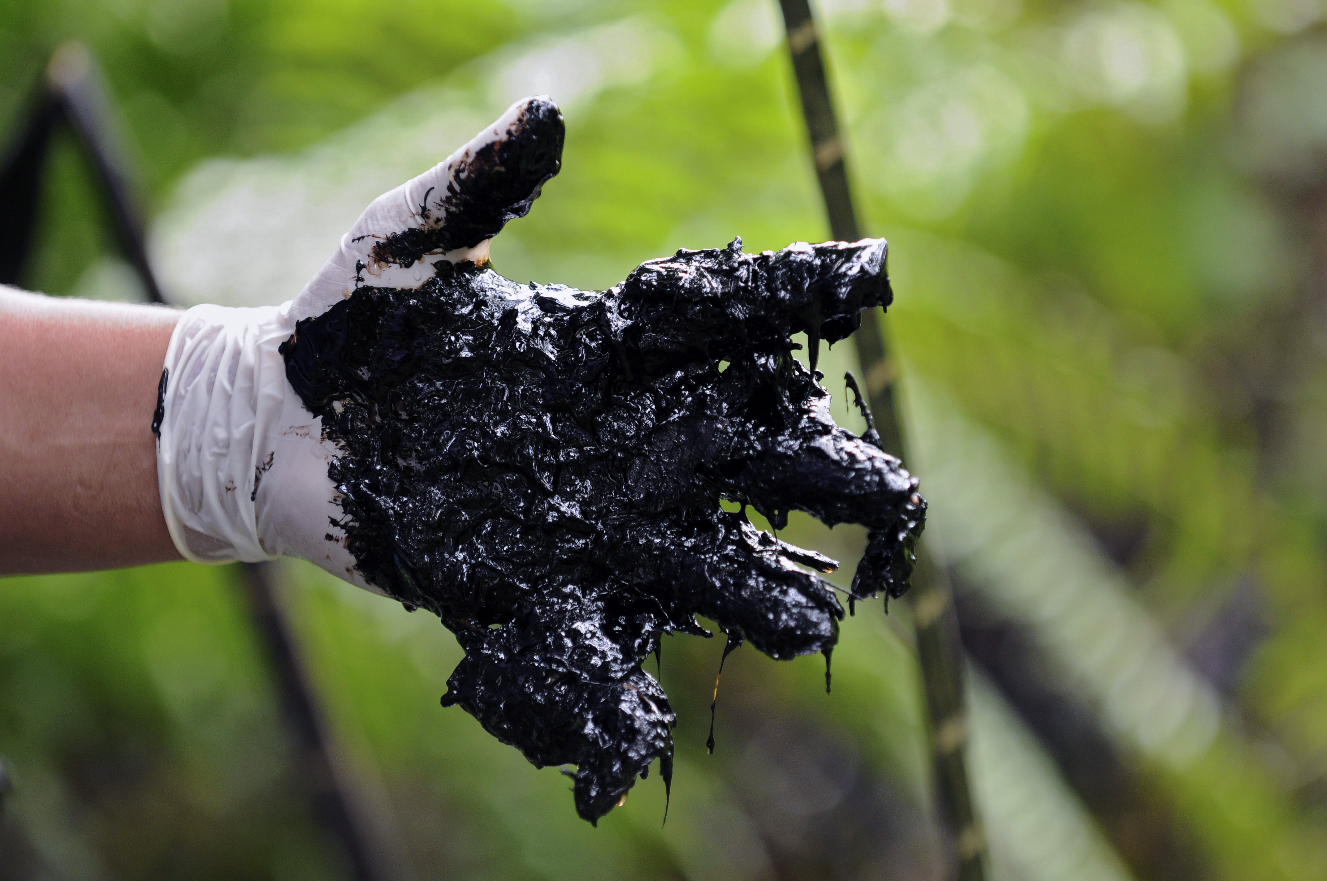 Hydrocarbures. En Équateur, les indiens vainqueurs d’un conflit environnemental vieux de vingt-cinq ans 