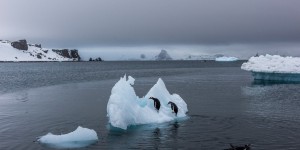 Y a-t-il quelqu’un pour sauver l’Antarctique ?