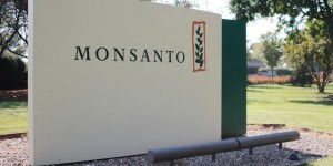 Agrochimie. L’avenir s’assombrit pour Monsanto