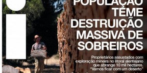 Au Portugal, des propriétaires de chênes-lièges redoutent “une destruction massive”