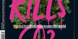 “Wanted : un billion d’arbres pour sauver le monde”