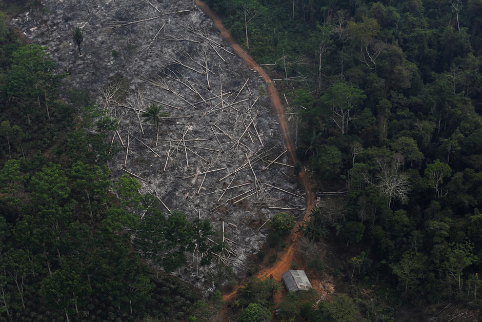 Au Brésil, la déforestation de l’Amazonie provoque le blocage de subventions internationales