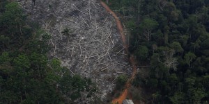 Au Brésil, la déforestation de l’Amazonie provoque le blocage de subventions internationales
