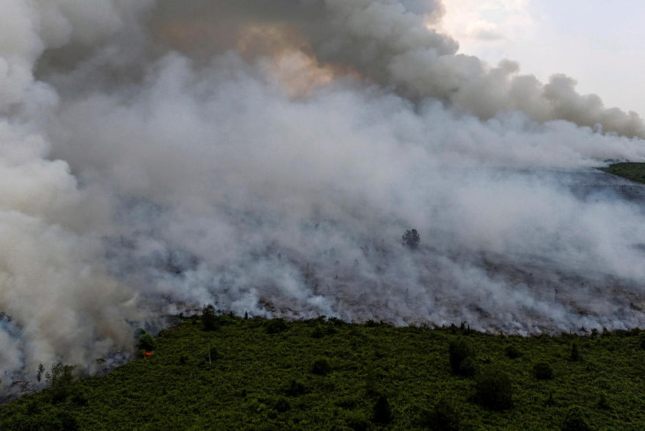En Indonésie, les feux de tourbière mettent au jour des trésors archéologiques