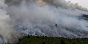 En Indonésie, les feux de tourbière mettent au jour des trésors archéologiques