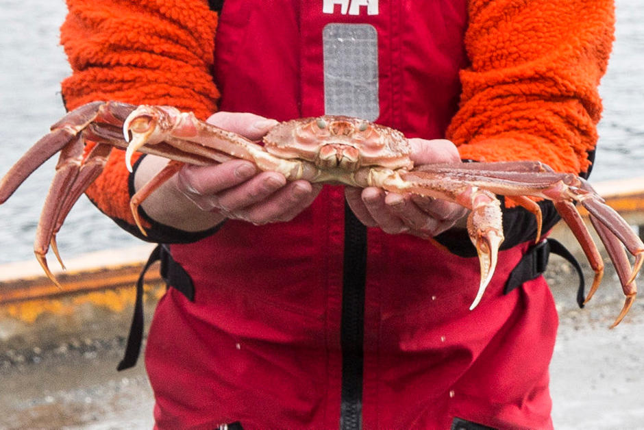 La “guerre des crabes” aura-t-elle lieu entre la Norvège et l’UE ?