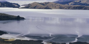 Une vaste étendue d’eau douce découverte au large de la Nouvelle-Zélande