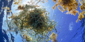 Il n’y aurait pas autant de microfibres plastiques dans l’océan qu’on ne le pensait