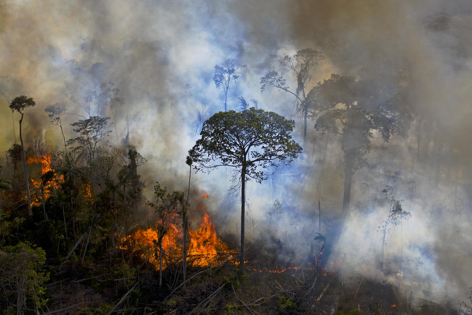 Incendies au Brésil : Bolsonaro dénonce “une brutale campagne de désinformation”